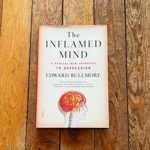 The Inflamed Mind